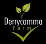Derrycamma Farm