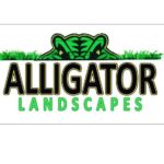 Alligator Landscapes